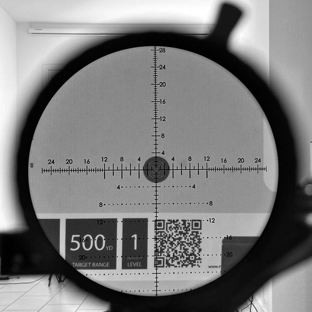 LEVEL 1: THE FOUNDATION OF CHAMPIONS